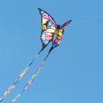526913_44076249 butterfly kite